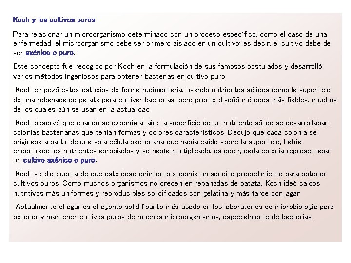 Koch y los cultivos puros Para relacionar un microorganismo determinado con un proceso específico,