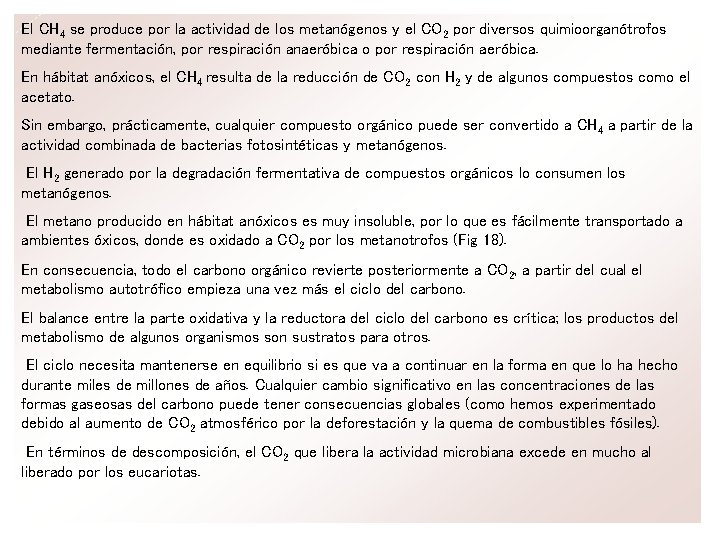 El CH 4 se produce por la actividad de los metanógenos y el CO