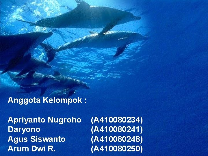 Anggota Kelompok : Apriyanto Nugroho Daryono Agus Siswanto Arum Dwi R. (A 410080234) (A