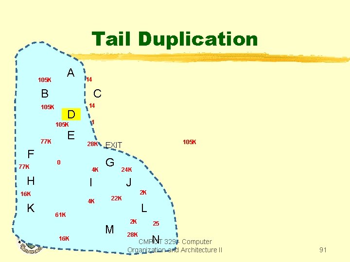 Tail Duplication A 105 K 14 B C 105 K D 105 K E