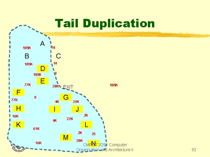 Tail Duplication A 105 K 14 B C 105 K D 105 K E