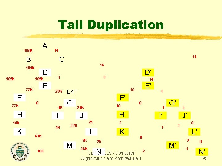 Tail Duplication A 105 K 14 B 105 K D 105 K E 77