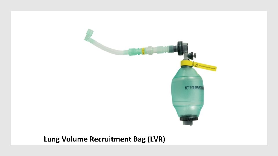 Lung Volume Recruitment Bag (LVR) 