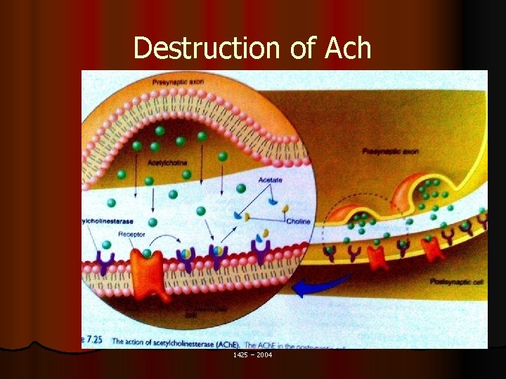 Destruction of Ach 1425 – 2004 