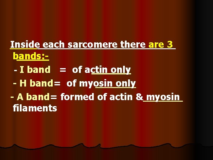 Inside each sarcomere there are 3 bands: - I band = of actin only