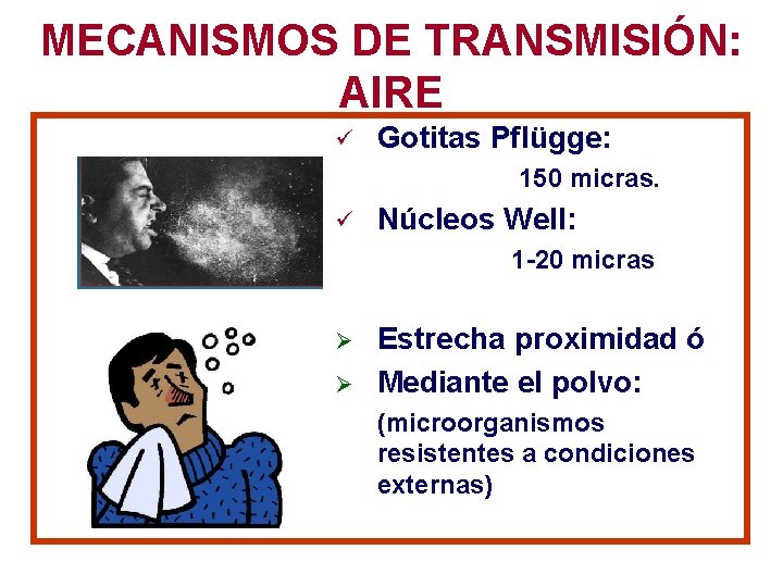 MECANISMOS DE TRANSMISIÓN: AIRE ü Gotitas Pflügge: 150 micras. ü Núcleos Well: 1 -20