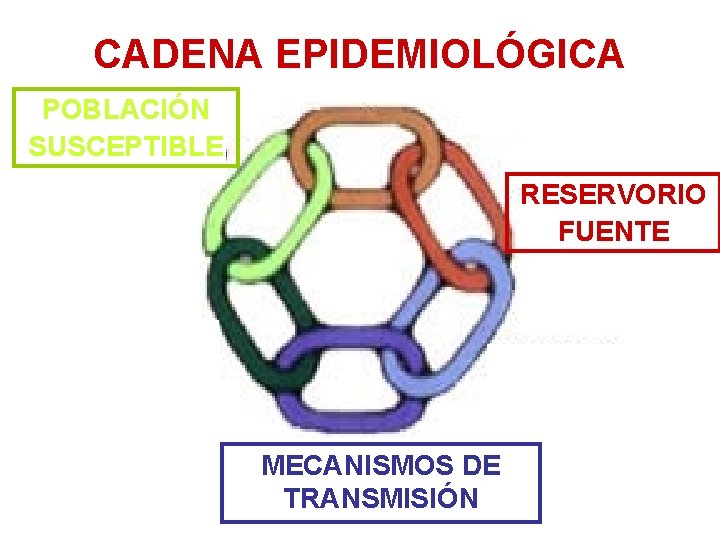 CADENA EPIDEMIOLÓGICA POBLACIÓN SUSCEPTIBLE RESERVORIO FUENTE MECANISMOS DE TRANSMISIÓN 