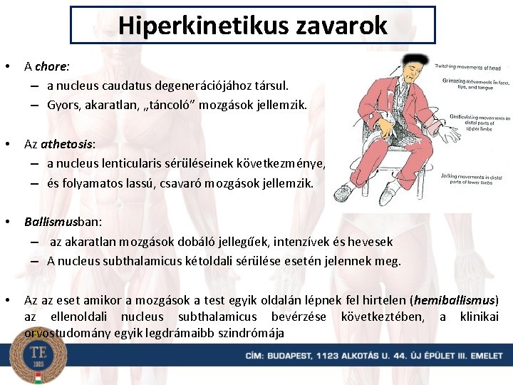 Hiperkinetikus zavarok • A chore: – a nucleus caudatus degenerációjához társul. – Gyors, akaratlan,