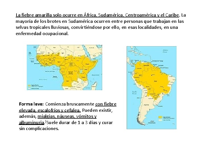 La fiebre amarilla solo ocurre en África, Sudamérica, Centroamérica y el Caribe. La mayoría