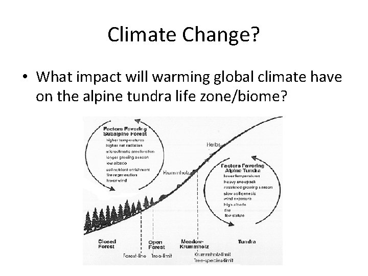 Climate Change? • What impact will warming global climate have on the alpine tundra