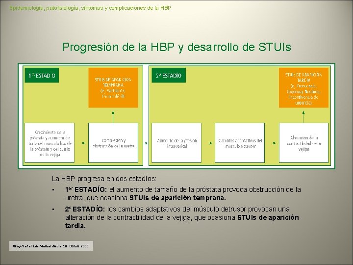 Epidemiología, patofisiología, síntomas y complicaciones de la HBP Progresión de la HBP y desarrollo