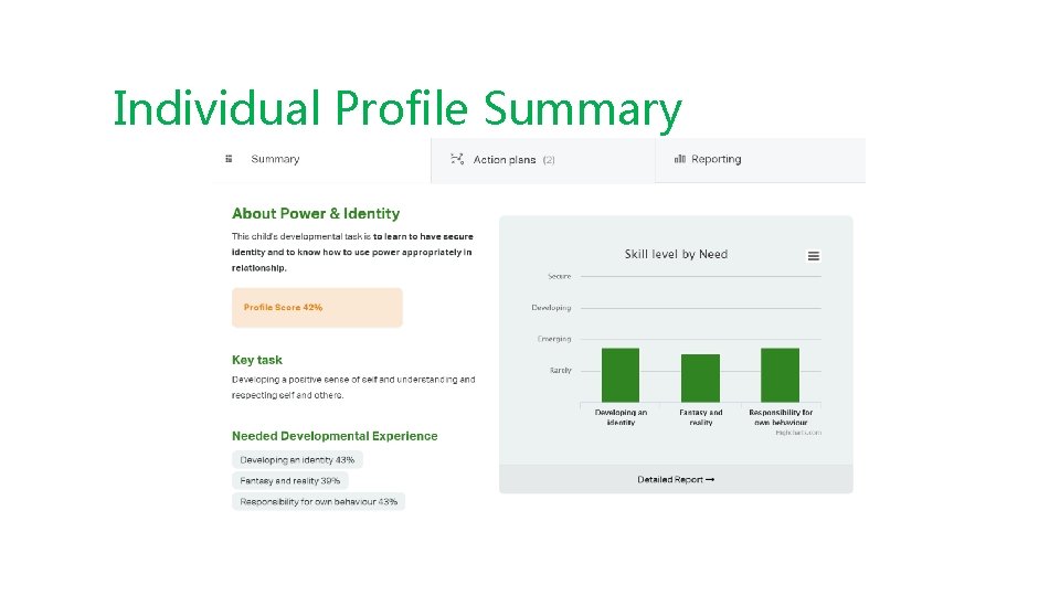 Individual Profile Summary 