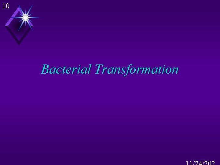 10 Bacterial Transformation 