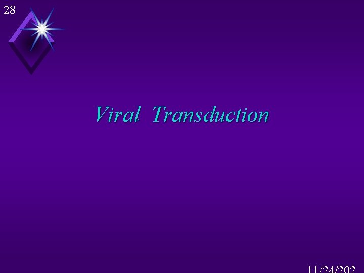 28 Viral Transduction 