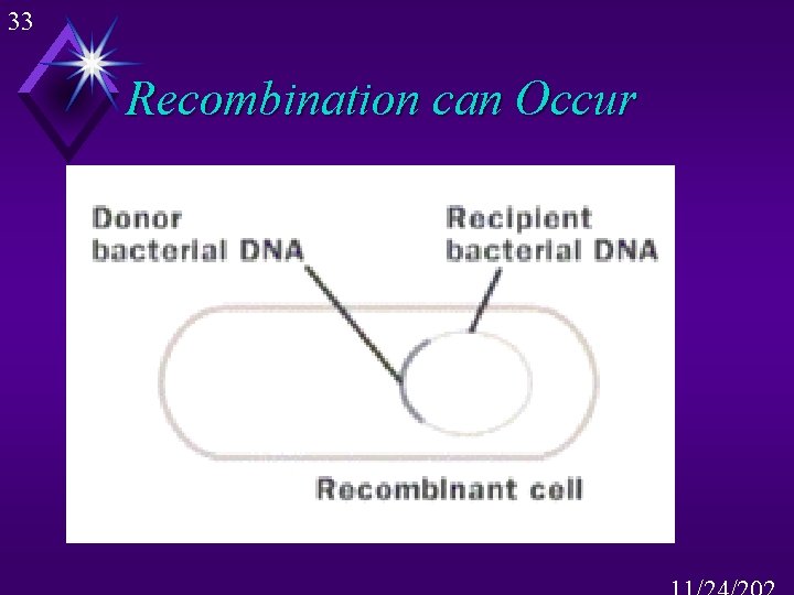 33 Recombination can Occur 