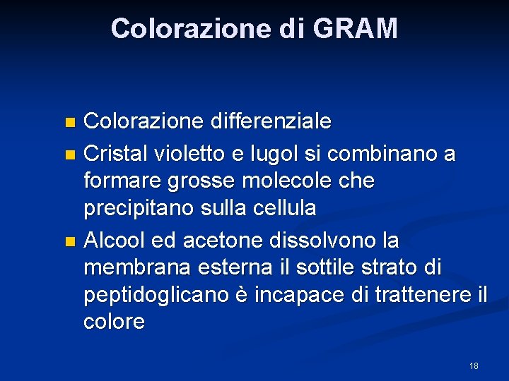 Colorazione di GRAM Colorazione differenziale n Cristal violetto e lugol si combinano a formare