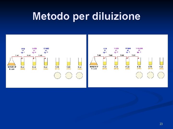 Metodo per diluizione 23 