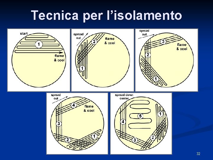 Tecnica per l’isolamento 32 