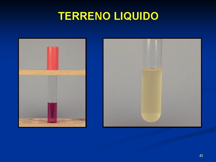 TERRENO LIQUIDO 40 