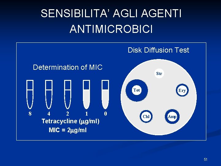 SENSIBILITA’ AGLI AGENTI ANTIMICROBICI Disk Diffusion Test Determination of MIC Str Tet 8 4