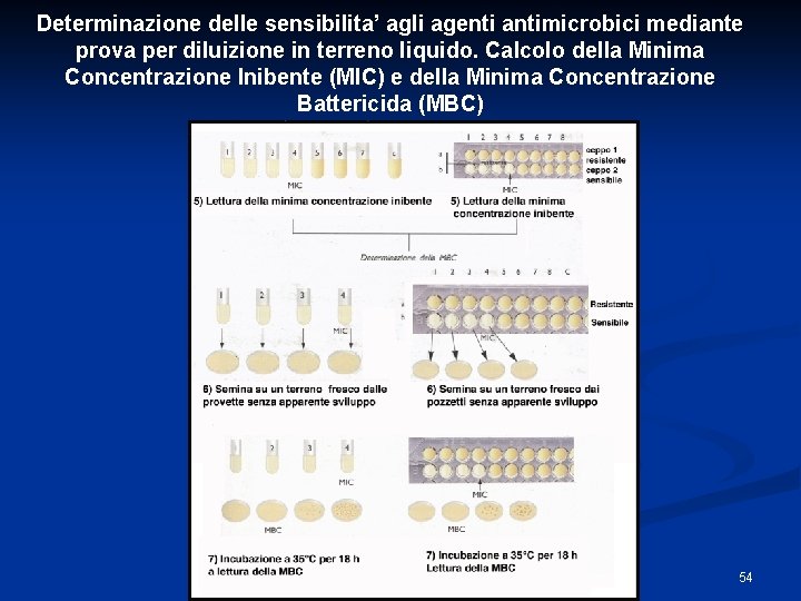 Determinazione delle sensibilita’ agli agenti antimicrobici mediante prova per diluizione in terreno liquido. Calcolo