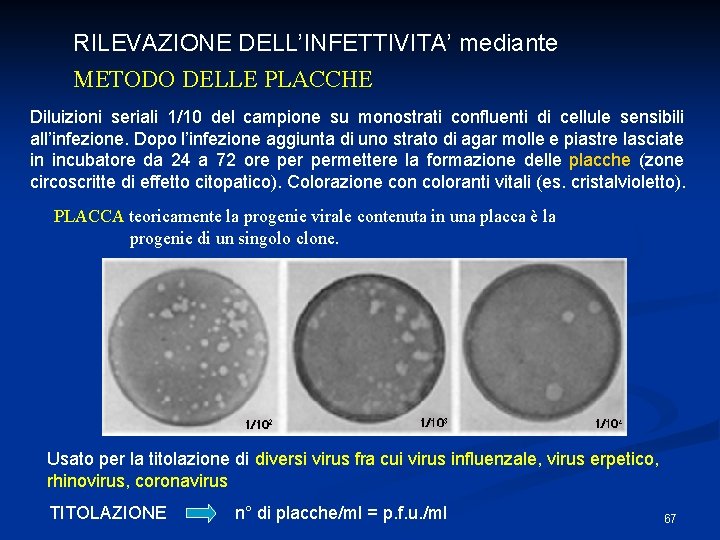 RILEVAZIONE DELL’INFETTIVITA’ mediante METODO DELLE PLACCHE Diluizioni seriali 1/10 del campione su monostrati confluenti