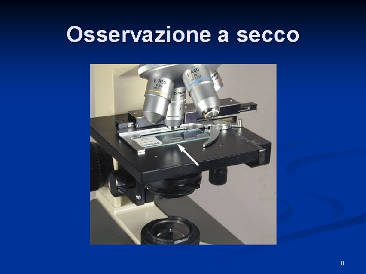 Osservazione a secco 8 