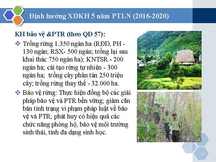 Định hướng XDKH 5 năm PTLN (2016 -2020) KH bảo vệ &PTR (theo QĐ