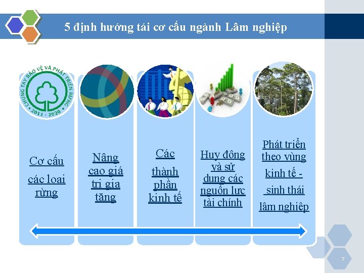 5 định hướng tái cơ cấu ngành Lâm nghiệp Cơ cấu các loại rừng