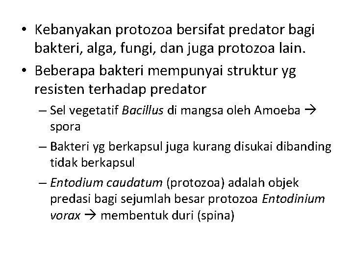  • Kebanyakan protozoa bersifat predator bagi bakteri, alga, fungi, dan juga protozoa lain.