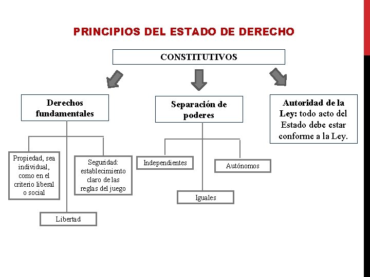 PRINCIPIOS DEL ESTADO DE DERECHO CONSTITUTIVOS Derechos fundamentales Propiedad, sea individual, como en el