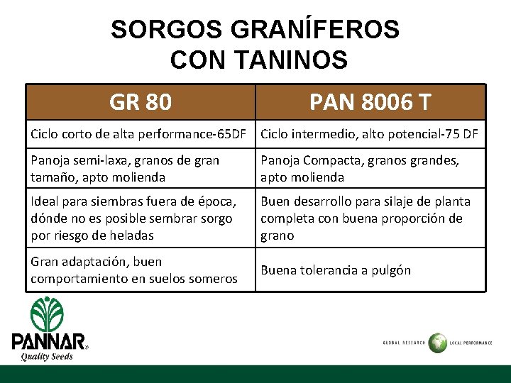 SORGOS GRANÍFEROS CON TANINOS GR 80 PAN 8006 T Ciclo corto de alta performance-65