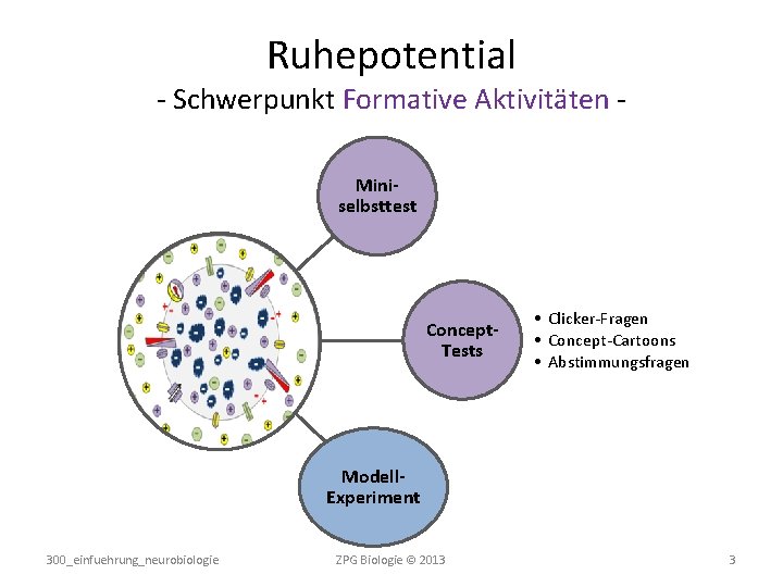 Ruhepotential - Schwerpunkt Formative Aktivitäten Miniselbsttest Concept. Tests • Clicker-Fragen • Concept-Cartoons • Abstimmungsfragen