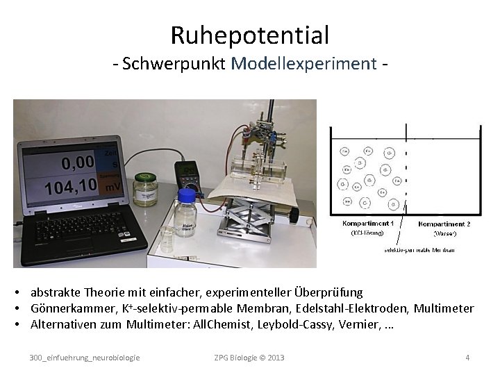 Ruhepotential - Schwerpunkt Modellexperiment - • abstrakte Theorie mit einfacher, experimenteller Überprüfung • Gönnerkammer,