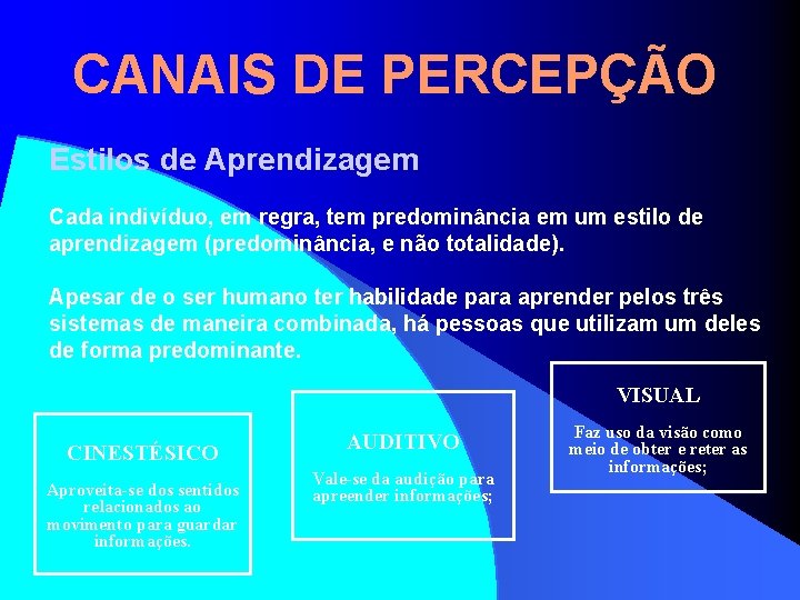 CANAIS DE PERCEPÇÃO Estilos de Aprendizagem Cada indivíduo, em regra, tem predominância em um