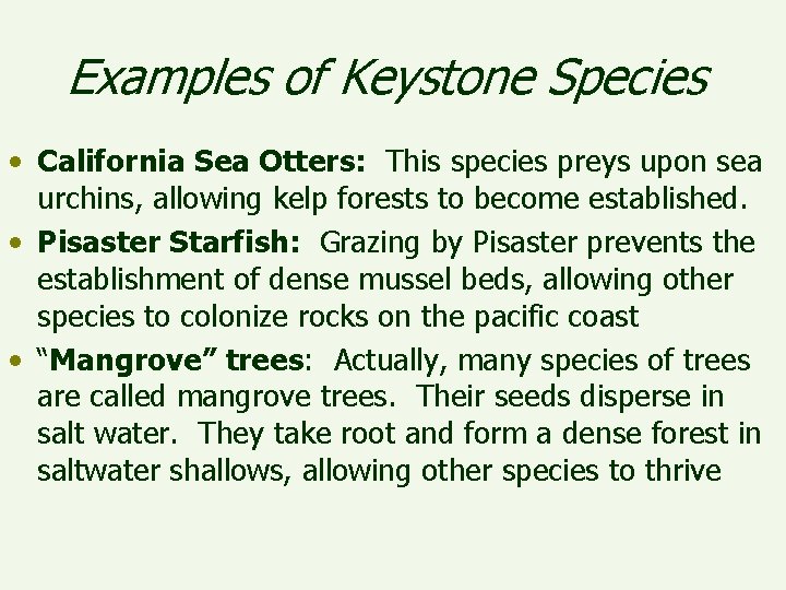Examples of Keystone Species • California Sea Otters: This species preys upon sea urchins,