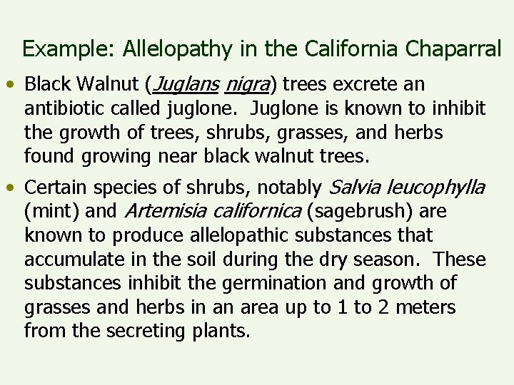 Example: Allelopathy in the California Chaparral • Black Walnut (Juglans nigra) trees excrete an