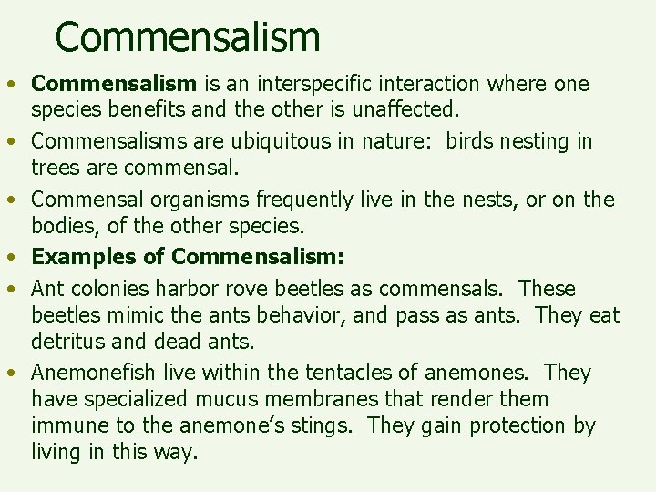 Commensalism • Commensalism is an interspecific interaction where one species benefits and the other