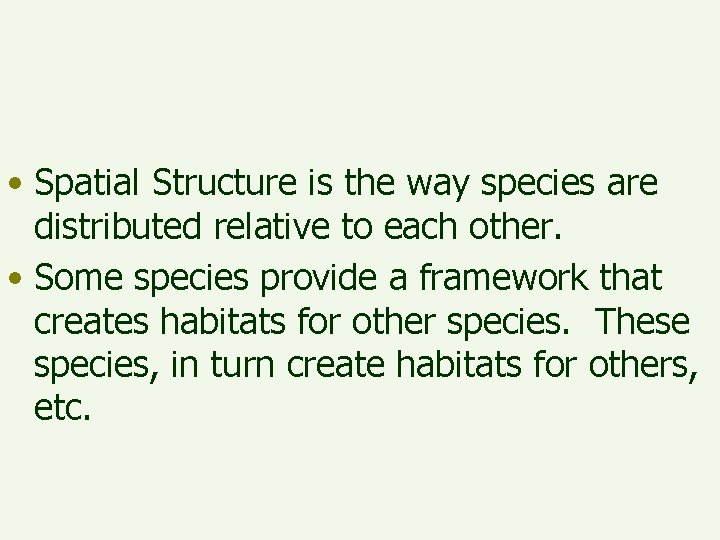  • Spatial Structure is the way species are distributed relative to each other.