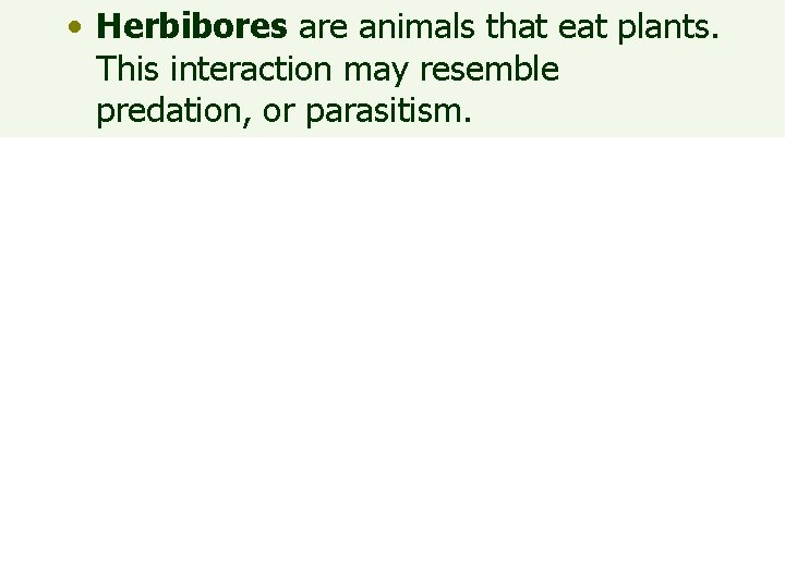  • Herbibores are animals that eat plants. This interaction may resemble predation, or
