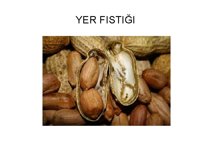YER FISTIĞI 