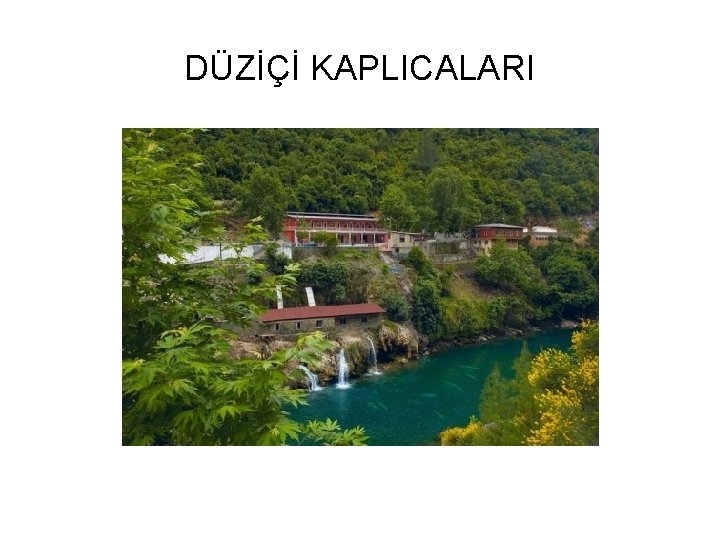DÜZİÇİ KAPLICALARI 