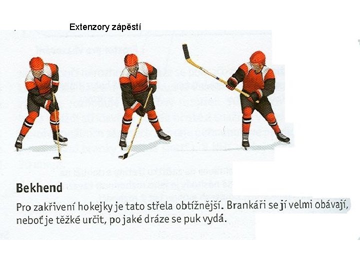 Extenzory zápěstí 