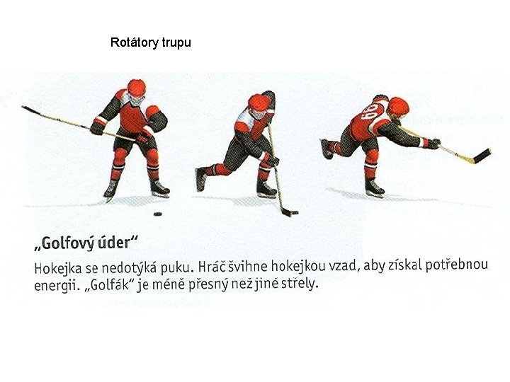 Rotátory trupu 