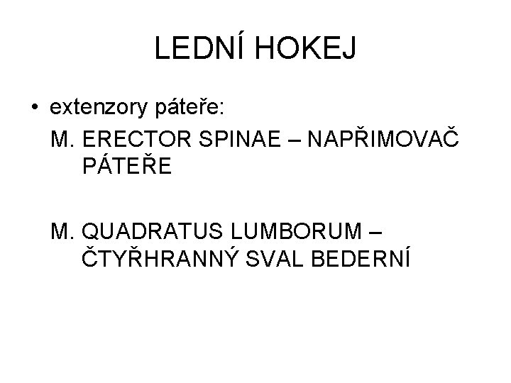 LEDNÍ HOKEJ • extenzory páteře: M. ERECTOR SPINAE – NAPŘIMOVAČ PÁTEŘE M. QUADRATUS LUMBORUM
