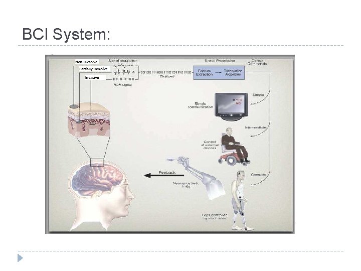 BCI System: BCI System: