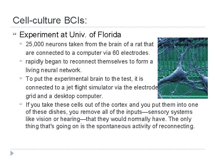 Cell-culture BCIs: Experiment at Univ. of Florida 25, 000 neurons taken from the brain Cell-culture BCIs: Experiment at Univ. of Florida 25, 000 neurons taken from the brain