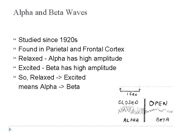 Alpha and Beta Waves Studied since 1920 s Found in Parietal and Frontal Cortex Alpha and Beta Waves Studied since 1920 s Found in Parietal and Frontal Cortex