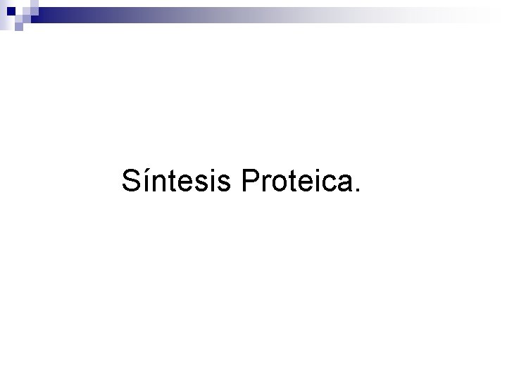Síntesis Proteica. 