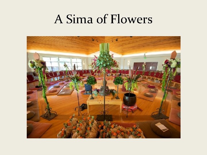 A Sima of Flowers 